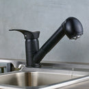 GobekUsa Brushed Nickel Kitchen Faucet with Sprayer Steam Spout