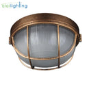 GobekUsa Bronze Metal Glass Outdoor Ceiling Lamp Flush Mount Waterproof Retro Yard Light