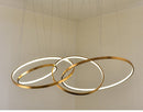 Large Ring Stainless Steel Light Fixture for Living Room, Hall, Staircase, Foyer, Stairwell