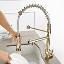 GobekUsa Gold Spring Spout Kitchen Faucet - Single Pull Out Mixer Tap