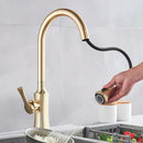 GobekUsa Brushed Gold Pull Out Kitchen Faucet with 2 Function Head and Spring Design