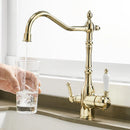 GobekUsa Kitchen Faucet with Water Purification Mixer Tap 360° Rotation for Kitchen WF-0193K
