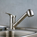 GobekUsa Brushed Nickel Kitchen Faucet with Sprayer Steam Spout