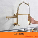 GobekUsa Dual Spouts Kitchen Faucet with Handheld Shower - Wall Mounted Dual Spouts