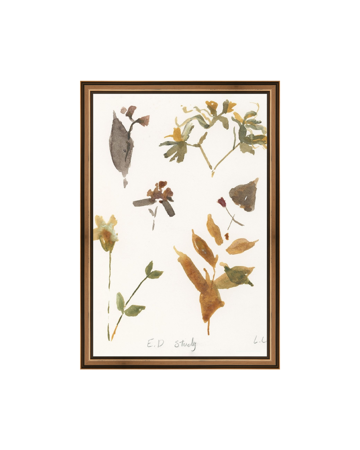 E.D Botanical Study, photo 31 of 34
