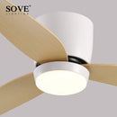 GobekUsa LED Ceiling Fan with Remote Control, Modern Design, Bedroom Decor, 220V