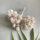 GobekUsa 6pcs Dried Flower Mix for Jewelry Making & Aromatherapy Candle Crafts