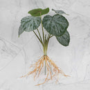 GobekUsa Green Plant Wall Set for Indoor Decoration