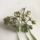 GobekUsa Greenery Berry Stamen Bundle for DIY Christmas Decor & Gift Wrapping