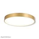 GobekUsa Gold Acrylic LED Ceiling Light - Modern Ultra-Thin Surface, Nordic Design