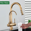 GobekUsa Antique Brass 2-in-1 Kitchen Faucet with Pull Out Nozzle and Purification