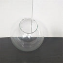 GobekUsa Clear Glass Lamp Shade Round Light Cover Replacement - D13cm to D25cm