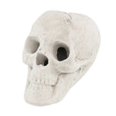 Halloween Fire Pit Skull Halloween Decoration by LJGDeals