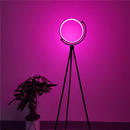 Halo Color Changing Lamp