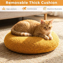 Hamburger Cat Nest with Chicken Drumstick Toy and Removable Cushion for Indoor Cats by LJGDeals