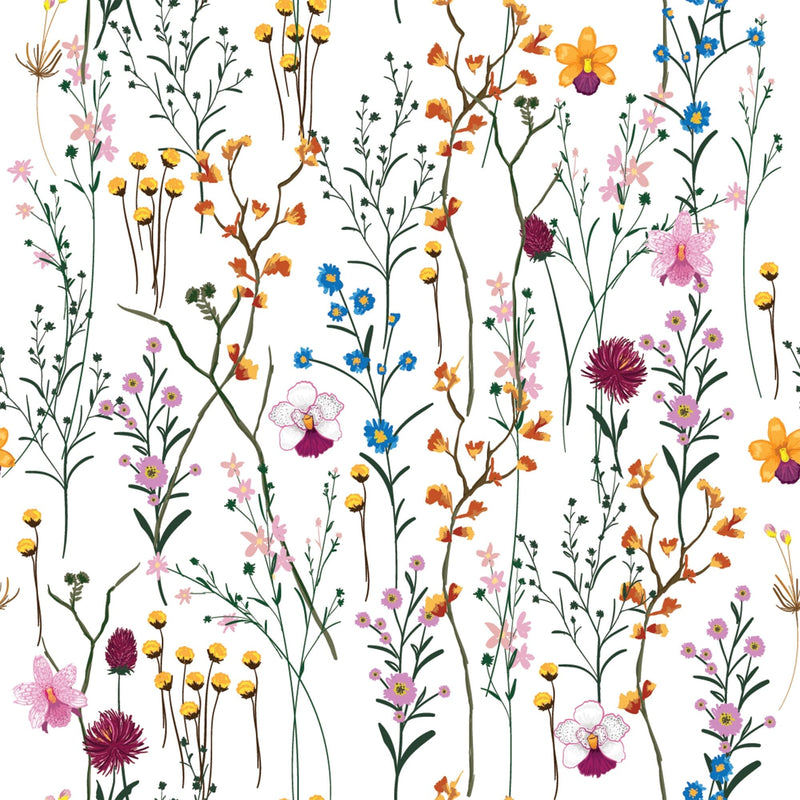 Colorful Wildflowers Herbarium Wallpaper