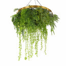 Imitation Gold Artificial Hanging Green Wall Disc 32in – Limited Edition – UV Resistant