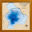 Hannah (Morrison)
