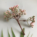 GobekUsa Artificial Plants DIY Garland Craft Decoration Adornment Dried Plants 5g