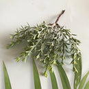 GobekUsa Greenery Berry Stamen Bundle for DIY Christmas Decor & Gift Wrapping