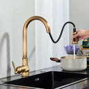 GobekUsa Antique Brass Kitchen Faucet with Pull Down Spout and Single Handle