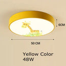 GobekUsa Kids Cartoon Acrylic Ceiling Light with Remote Control LED Girl Children's Room Lighting