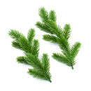 GobekUsa Artificial Pine Needle Plants for Christmas Decor and DIY Wreaths