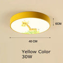 GobekUsa Kids Cartoon Acrylic Ceiling Light with Remote Control LED Girl Children's Room Lighting