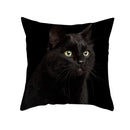 GobekUsa Black Cat Pillowcases - Cute Kitty Animal Lover Cushion Cover