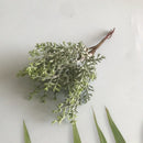 GobekUsa Greenery Berry Stamen Bundle for DIY Christmas Decor & Gift Wrapping