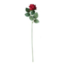 GobekUsa Dried Roses Artificial Flowers for Home Decor and Weddings