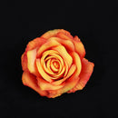 GobekUsa 30PCS Silk Roses Wedding Decor DIY Home Decoration, Brooch Gifts, Candy Box
