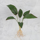 GobekUsa Green Plant Wall Set for Indoor Decoration