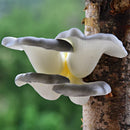 GobekUsa Artificial Mushroom Fungus Hanging Tree Decor for Outdoor Gardens