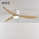 GobekUsa LED Ceiling Fan with Remote Control, Modern Design, Bedroom Decor, 220V
