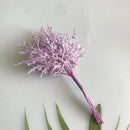 GobekUsa Dried Flower Bouquets for Home Decor, Photography Props, and Crafts