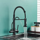 GobekUsa Black Dual Handle Kitchen Faucet with Water Purification Feature, 360° Rotation
