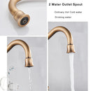 GobekUsa Antique Brass Water Filtration Kitchen Faucet, Lead-Free Drinking Sink Faucet