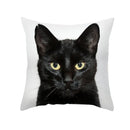 GobekUsa Black Cat Pillowcases - Cute Kitty Animal Lover Cushion Cover