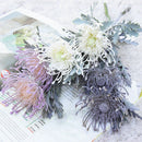 GobekUsa Artificial Crab Claw Branch for Home Wedding Decoration