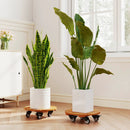 Rolling Plant Stand Set of 2 with Lockable Casters by LJGDeals