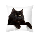 GobekUsa Black Cat Pillowcases - Cute Kitty Animal Lover Cushion Cover