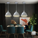 GobekUsa LED Industrial Pendant Lamp for Stylish Living Room & Bedroom Decor Lighting