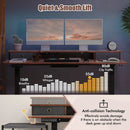 55 Inch x 24 Inch Height Adjustable Electric Standing Desk with 2 Drawers by LJGDeals