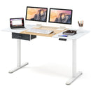 Height Adjustable Electric Standing Desk with USB Charging Port