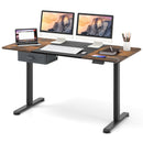 Height Adjustable Electric Standing Desk with USB Charging Port