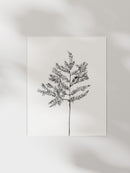 Hemlock Stem