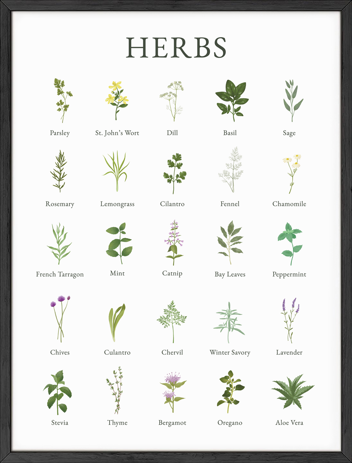 Herbs