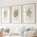 Vintage Neutral Botanical Gallery Wall Print Set by Wall Art Set