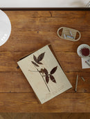 Herbarium I